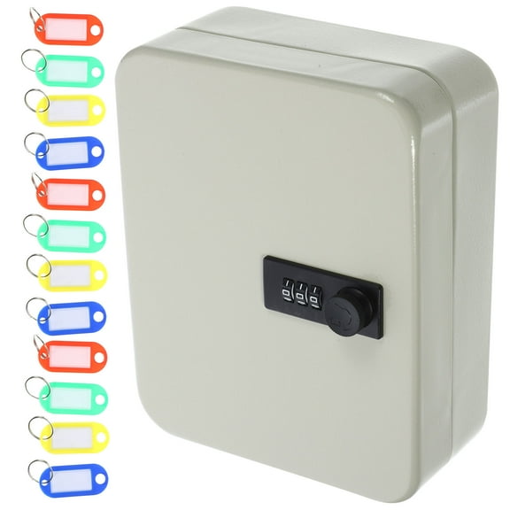 FONDOTIN 1 Set of Wall Mounted Key Holder Key Lock Box Wall Mounted White Iron for Adults