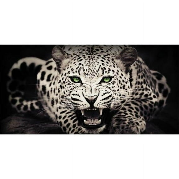 White Leopard Photo License Plate