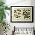 thumbnail image 6 of Kitchen Fruits III-Premium Framed Print - Ready to Hang, 6 of 7