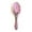 Beautiful Pink Hummingbird, variant on Wood Paddle Brush with Cushion & Round Hair Brush Snowflake and Feather Pattern Detangling Brush for All Hair Types