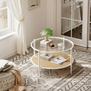 Studyset 30 Rattan Coffee Table,Round Water-Wave Glass Metal Center Table,2-Tier Round End Table with Storage,Modern Coffee Table,Farmhouse Circular Coffee Tables for Small Space,Living Room,Office