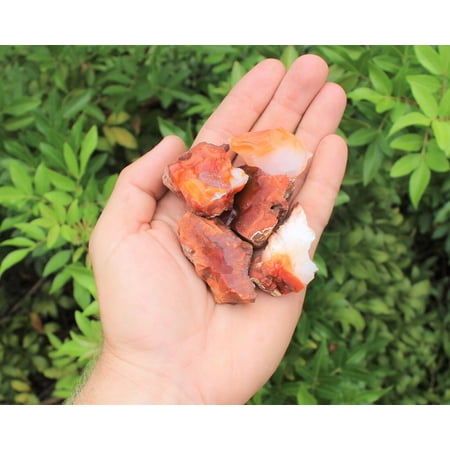 5 Pack Large Rough Natural Carnelian (Raw Stone Crystal Agate, MADAGASCAR)