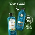 thumbnail image 3 of Herbal Essences bio:renew Argan Oil Of Morocco Repairing Color-Safe Shampoo - 13.5 fl oz, 3 of 5