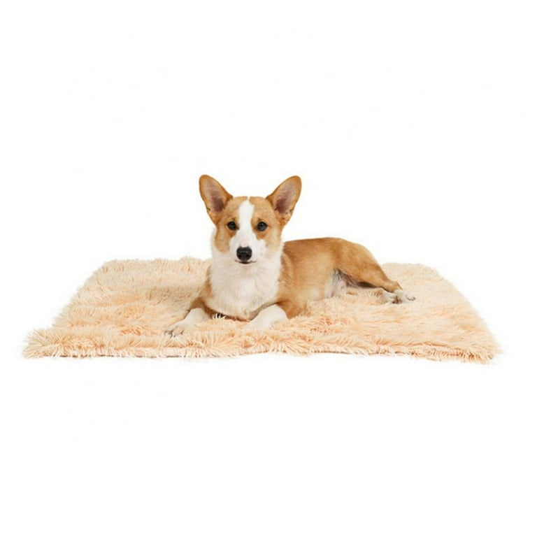 Plush best sale dog blankets