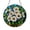 Acrylic 3.5 Inch, variant on Daisy Flower Glass Frame Decor, Floating Botanical Display, Elegant Floral Home Accent for Nature Inspired Interior Styling