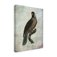 thumbnail image 2 of Trademark Fine Art 'Parrot Jungle I' Canvas Art by John Butler, 2 of 4