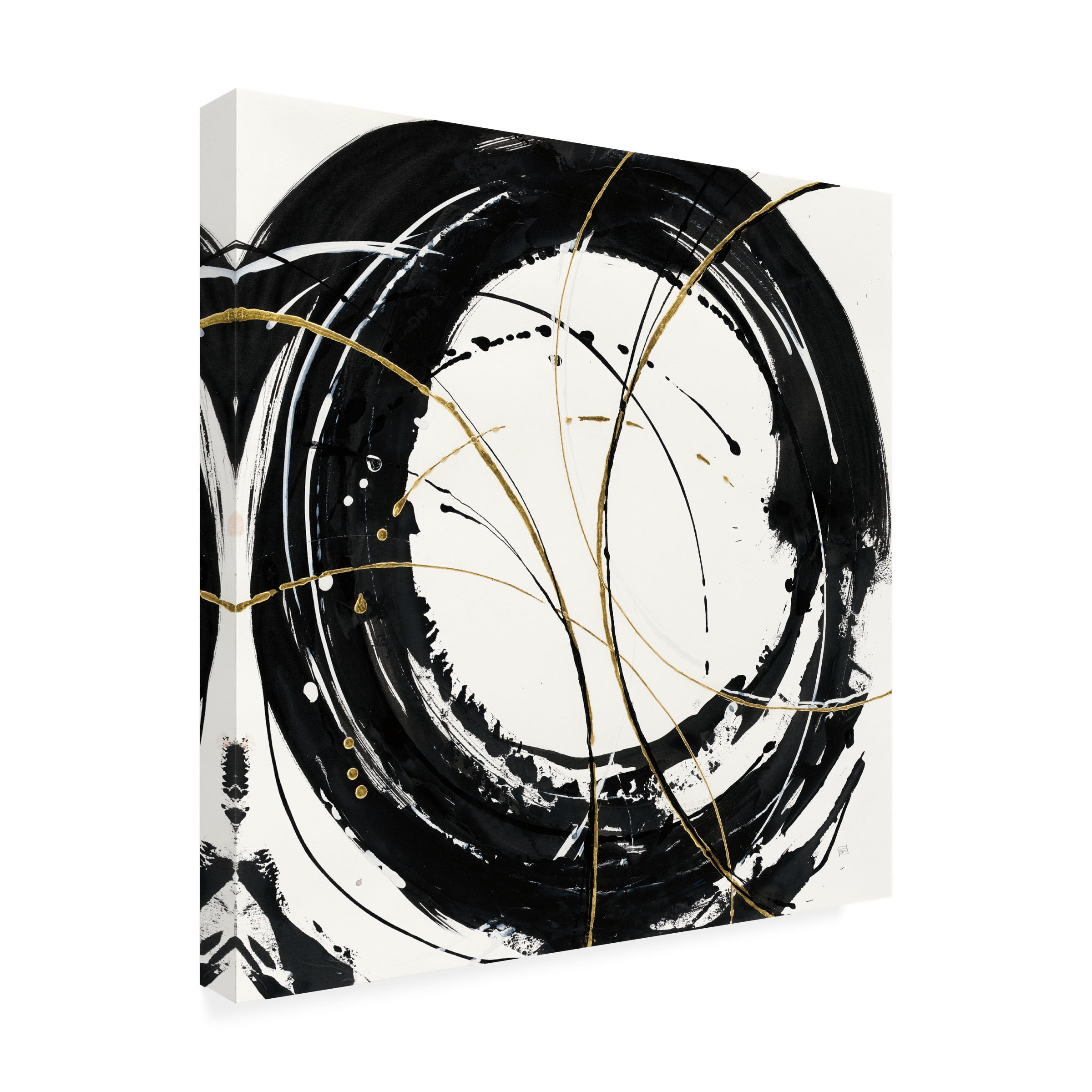Trademark Fine Art 'Circular Web' Canvas Art by Chris Paschke