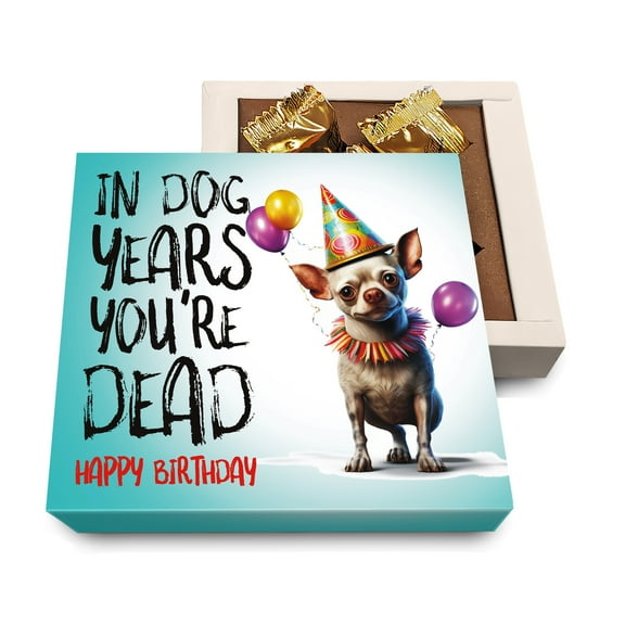 CoolGiftBox Chihuahua Birthday Gifts for Women, Funny Gifts for Best Friend Women -Unique Birthday Gifts for Women, Her, Mom, BFF, Best Friends, Girlfriend, Sister