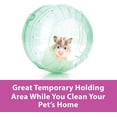 thumbnail image 4 of Kaytee Run-About Ball for Hamsters, Gerbils and Other Small Animals, Clear 7 Inches, 4 of 11