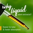 thumbnail image 4 of Extracto líquido de bálsamo de limón Herb Pharm, 30 ml, sin alcohol, 4 of 9
