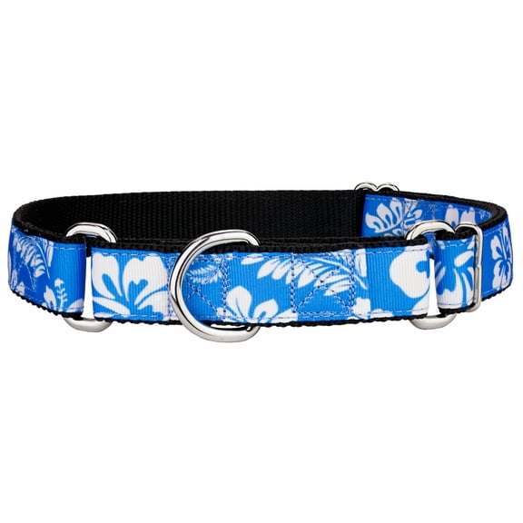 Country Brook Petz® Blue Hawaiian Ribbon Martingale Dog Collar, Large