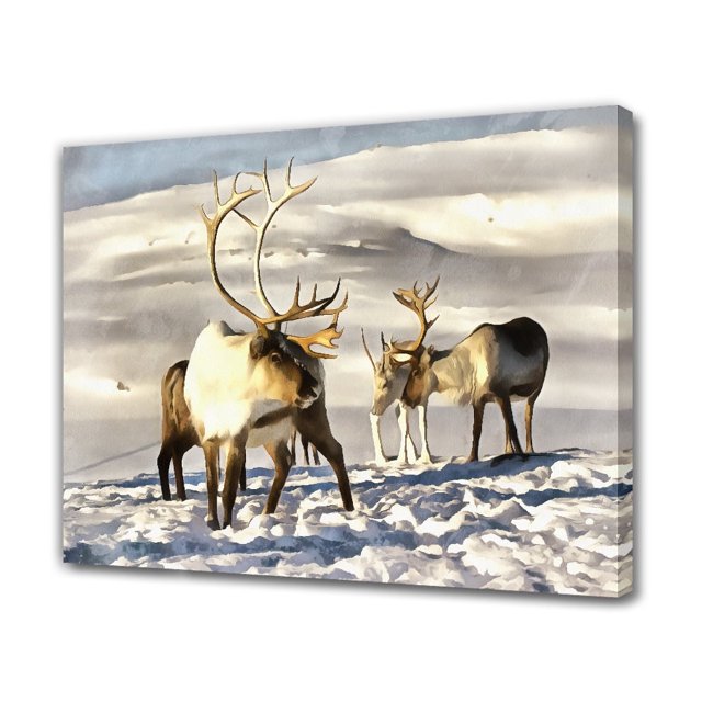 Reno salvaje en la región de Tromsø en el norte de Noruega Póster Pintura decorativa Lienzo Arte de pared Pósteres para sala de estar Pintura para dormitorio, estilo marco, 16 x 24 pulgadas (40 x 60