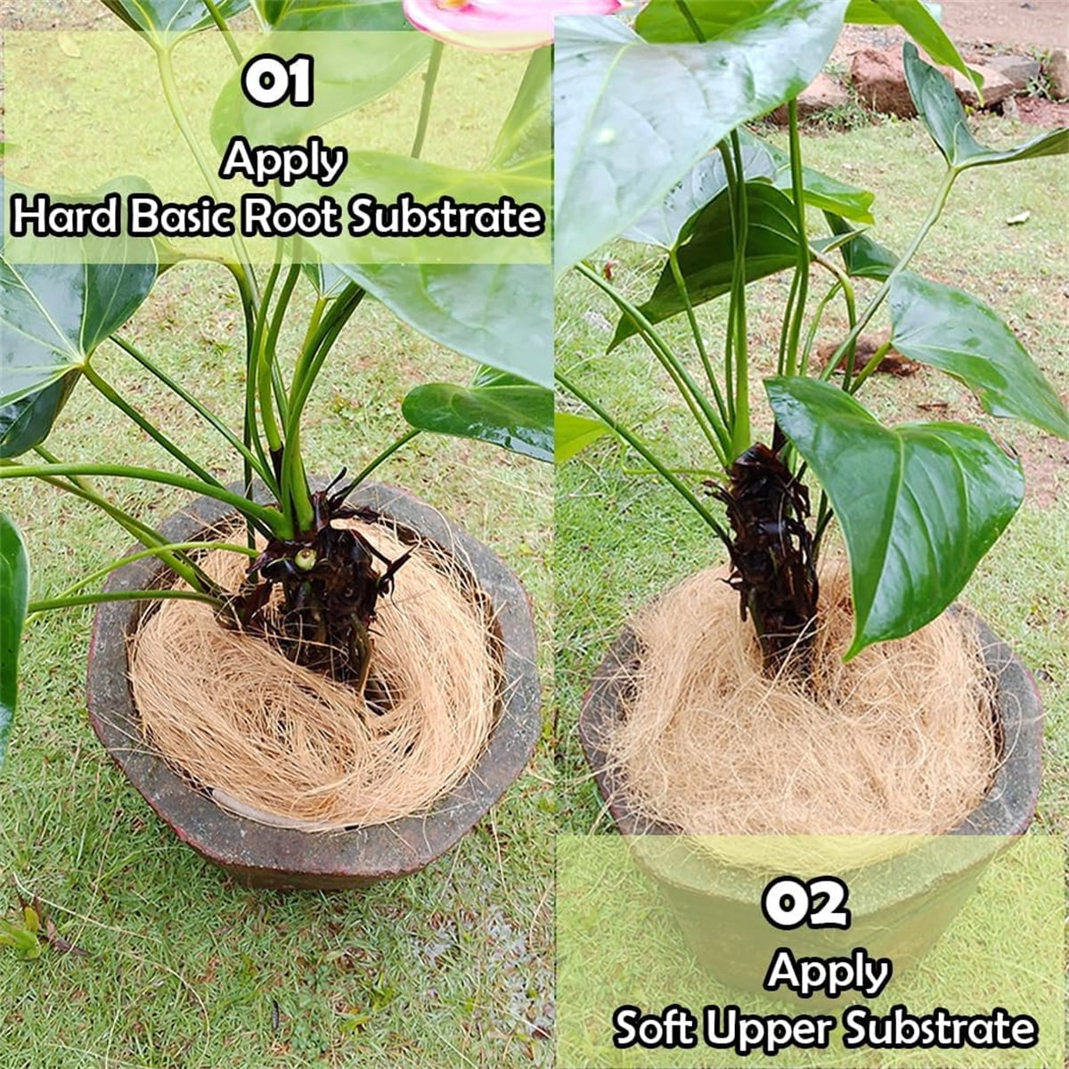 Tutuviw Long Coconut Husk Fiber Mulch Silk,Pure Coconut Shell Fiber for Bird Nest,Plant Coconut Fiber Substrate,Clean Coconut Shell Moss Covering for Orchids Pot Plant (0.55 Pounds)