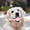B, variant on Durable Plastic Dog Chew Toy with Rope Ball – Interactive Teeth Cleaning Toy for Aggressive Chewers – C