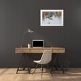 thumbnail image 3 of Archer, Ken 18x13 White Modern Wood Framed Museum Art Print Titled - Mallard Drake Taking Flight, 3 of 4