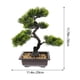 thumbnail image 2 of WORGEOUS Artificial Bonsai Pine Tree Faux Faux en maceta Display de escritorio de la planta, 2 of 8
