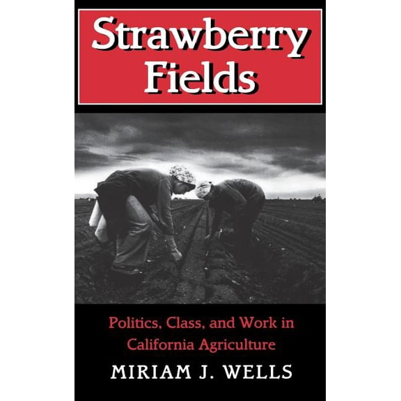 Anthropology of Contemporary Issues Strawberry Fields, (Hardcover)