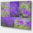thumbnail image 2 of Blue Spring Flowers Collage - Floral Canvas Art Print, 2 of 4