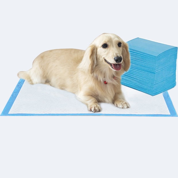 Best Puppy Pads For Large Dogs