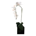 thumbnail image 3 of Maceta Iko-An Maxi Orquidea artificial blanca, 3 of 4