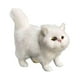 thumbnail image 4 of 2 figuras de gato en miniatura, modelo animal, juguete para mesa. blanco y naranja, 4 of 9