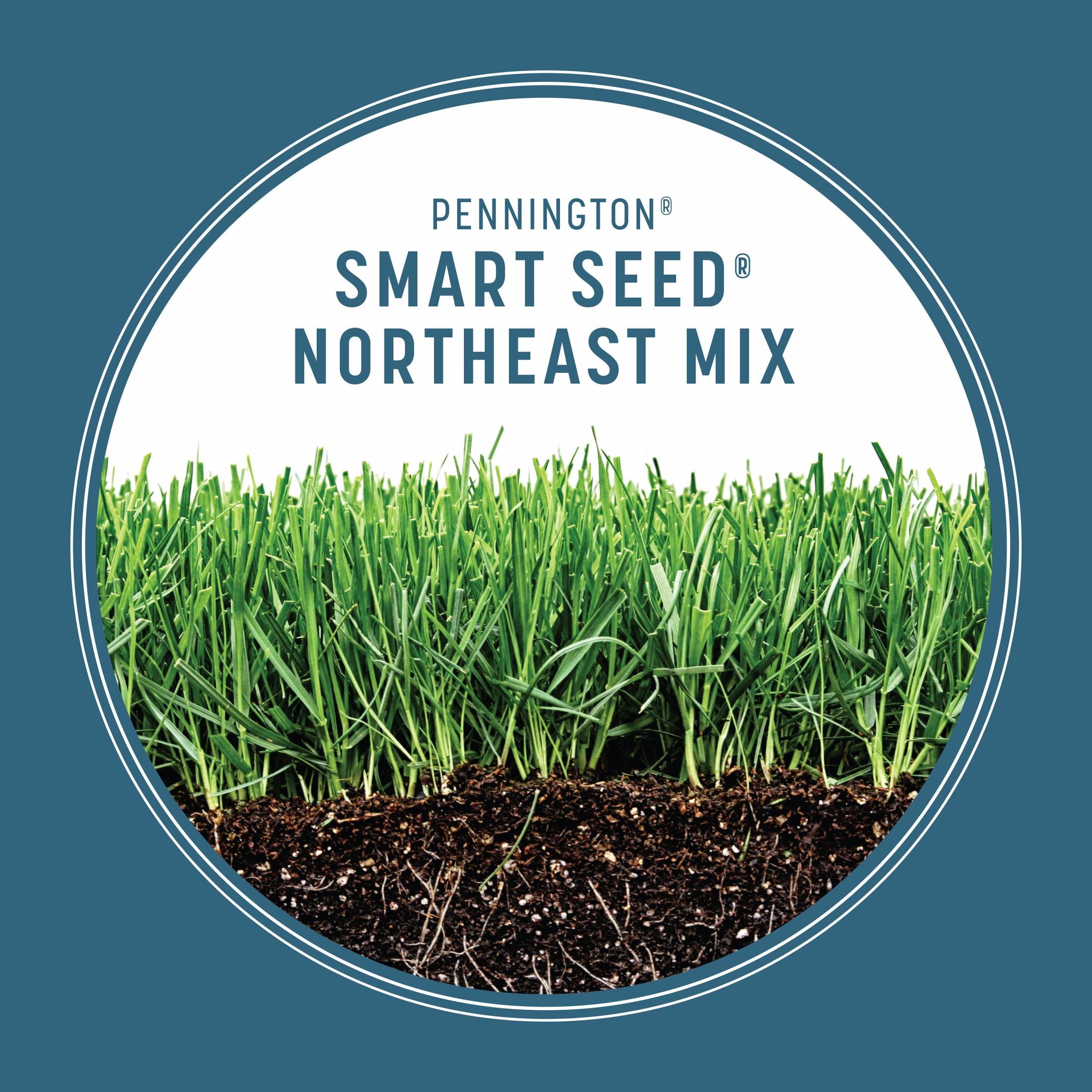 Pennington Smart Seed Northeast Grass Seed and Fertilizer Mix, for Sun to Partial Shade, 20 lb. New Bag