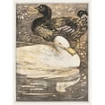 thumbnail image 2 of Hoytema, Theo van 12x14 Gold Ornate Wood Framed with Double Matting Museum Art Print Titled - Two ducks, 2 of 4