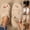 Khaki, variant on Women's Fuzzy Furry Puffy Slippers Open Toe Anti-Slip Cozy House Shoes Memory Foam Flat Slip On Soft Indoor Outdoor Slides