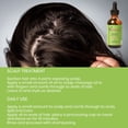 thumbnail image 2 of Mielle Organics Aceite fortalecedor de cuero cabelludo y menta de romero para uso diario, tratamiento de cuero cabelludo, cuidado de puntas abiertas, 2 of 7