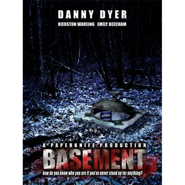 Posterazzi MOVIB63301 Basement Movie Poster - 27 x 40 in.