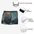 thumbnail image 5 of Haiem Starry Sky Meditating Lion Men's Boxer Briefs, Every Day Comfort Stretch Cotton Moisture-Wicking Underwear-XX-Large, 5 of 8