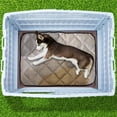 thumbnail image 5 of Pefilos 34" Dog House Indoor Outdoor Insulated Kennel Durable Plastic Doghouse for Small Dogs Weather, Water Resistant Dog Shelter with Pull-Out Base Tray, Brown, 5 of 9