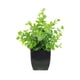 thumbnail image 2 of Decoración del hogar, decoración de habitaciones, decoración de paredes, plantas artificiales decorativas, plantas verdes de simulación, arreglos para muebles de interior, sala de estar, ramo de plást, 2 of 6