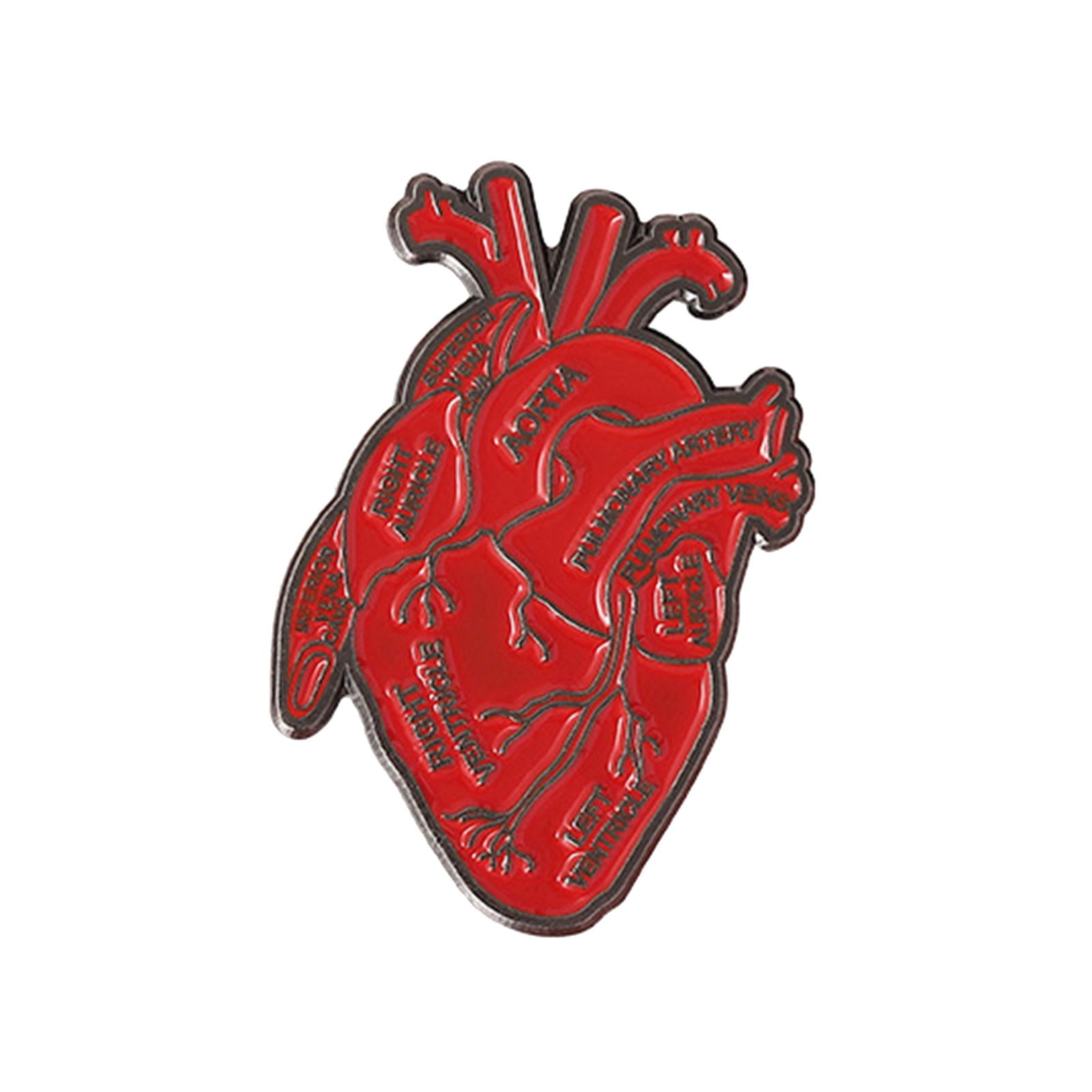 Yinanstore Anatomical Heart Enamel Lapel Pin Anatomical Heart Pin