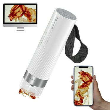 What Is The Best Microscope For Kids And Adults To Learn About Microscopy With Ease And Fun