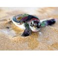 thumbnail image 1 of 30 x 40 cm, Tortuga de Playa Pintura de Diamante Bordado Pintura de Diamante Lienzo Pintura 5D Niño Adulto Diamante de imitación Lote Rompecabezas Dibujo Decoración de Pared Dormitorio, 1 of 1