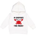 thumbnail image 2 of Inktastic My Grandparents Love Me Toddler Hoodie, 2 of 4