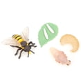 thumbnail image 2 of Safe Insect Model, Honeybee Model, Home For Childs Kinderparten Kids, 2 of 8