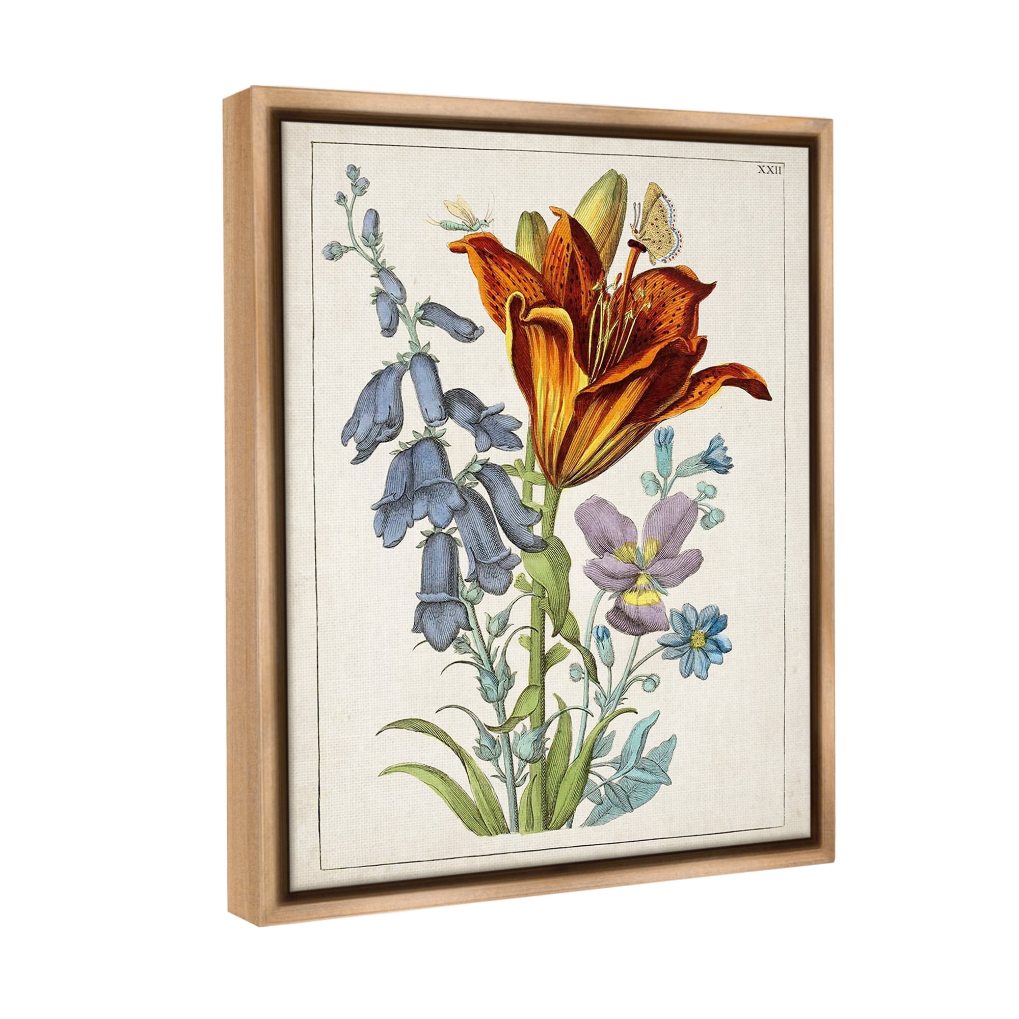 Stupell Industries Bugs & Vintage Flowers Botanical & Floral Painting Brown Floater Framed Canvas Art Print Wall Art, 17 x 21