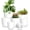 White, variant on West Bay 7-Pack Self Watering Pots for Indoor Plant, Flower Pot with Drainage Holes and Clear Saucers, 4/5/5.5/6/6.5/7/8 Inch, Black