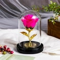 thumbnail image 3 of Mecorevxz Rose Flower Gifts for Women, Forever Rose, Galaxy Rose Flower Light Up in Glass Dome, Rose Gifts for Women Mom Wife Girlfriend (Hot Pink), 3 of 6