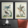 thumbnail image 5 of Wexford Home Pastel Birds III Premium Framed Print, 30.5" x 42.5" - Ready to Hang, Black (Set of 2), 5 of 9