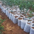 thumbnail image 7 of 100-Pack Non-Woven Fabric Grow Bags | Breathable Plant Pots for Vegetables, Flowers, Fruits & Trees | Air Pruning Root Development | Garden Planting & Transplanting Containers, 7 of 7