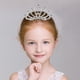 thumbnail image 2 of 4 tiaras de diamantes de imitación para niña con peine, regalos de fiesta, tiaras y coronas, 2 of 6