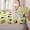 Pale Lime, variant on Erosebridal Rainbow Chubby Cartoon Cat Zipper Queen Comforter Set with Fitted Sheet and 2 Pillowcases,Star Gradient Zipper Bedding Set,Pastel Purple Blue,4 Pieces,Reversible