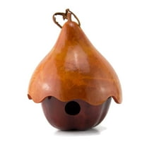 with Hat Gourd Art Birdhouse