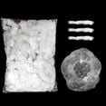 thumbnail image 2 of 100 Pcs Disposable Shower Cap Plastic Waterproof Headgear Hotel Hair Dye Shower Cap Transparent Plastic Beauty Salon Cap, 2 of 5