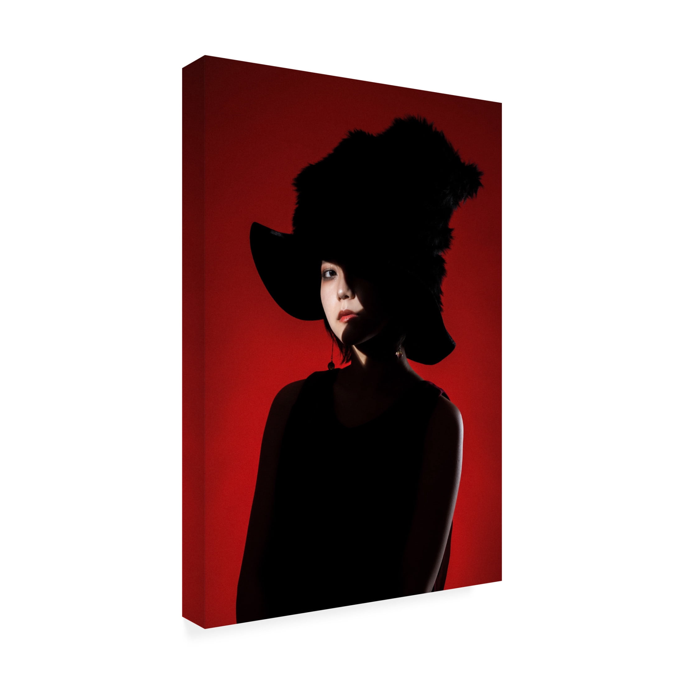 Trademark Fine Art Suguru Sumimoto Red World Canvas Wall Art
