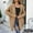 Khaki, variant on Olyvenn Long Sleeves Knit Cardigan Sweater Women's Plus Size Loose Fashion Solid Color Loose Tops Blouse Female Leisure Beige XL