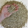 thumbnail image 3 of Organic Vermiculite - Small Granules - Excellent Soil Amendment for Plants and Bonsai (4 Quarts), 3 of 4
